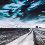 Managing Surge Pricing: Strategies and Controversies: Cricket bet99 login, Sky11 login, Reddy anna online book